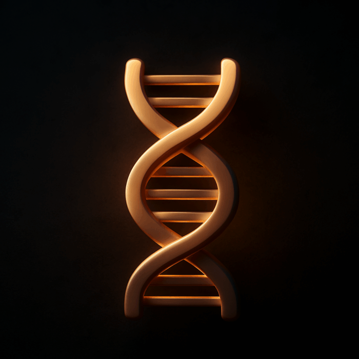 어두운 질감 배경 위에 부드럽게 빛나는 주황색 RNA 이중 나선 구조가 중심에 배치되어 있다. 둥글고 매끄럽게 표현된 이중 나선은 주변의 은은한 빛과 어우러져 신비롭고 초현실적인 분위기를 자아낸다.